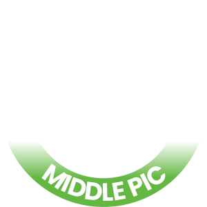 Middle PIC