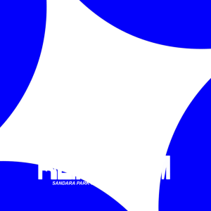 REPRISM BY SANDARA PARK - BLUE VERSION