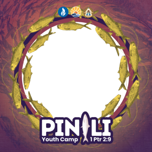 PINILI YC DP FRAME