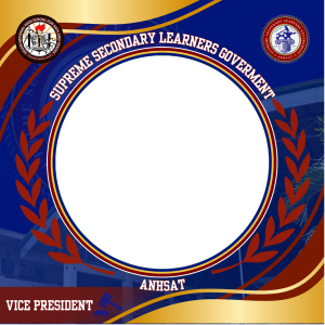 SSLG VICE PRESIDENT