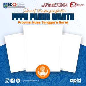 PPPK Paruh Waktu Provinsi NTB