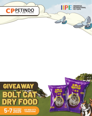 IIPE 2025 Giveaway Bolt