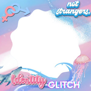 Identity Glitch