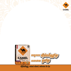 Camel Cement Limited Edition Pack