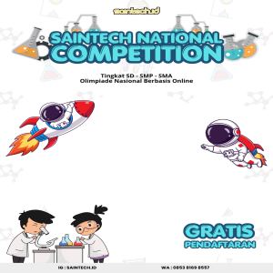 TWIBBON SNC SAINTECH