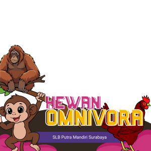Hewan Omnivora
