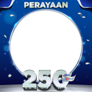 250 Stores Erablue Electronics