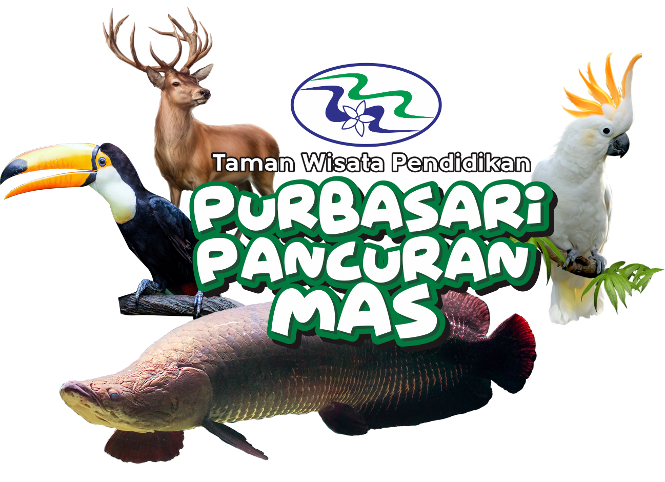 PPMAffiliator